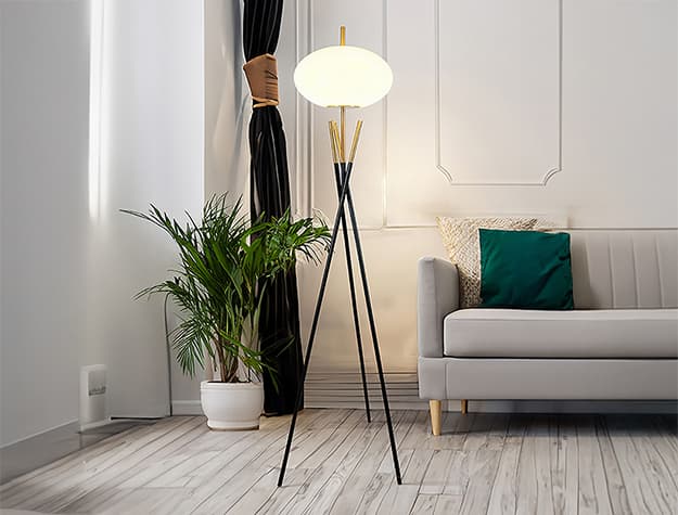 6293F FLOOR LAMP | image 1